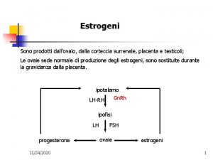 Estrogeni Sono prodotti dallovaio dalla corteccia surrenale placenta