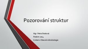 Pozorovn struktur Mgr Petra Strakov Podzim 2014 Cvien