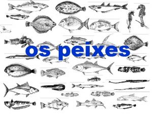 os peixes Co nome de peixes cocense tres