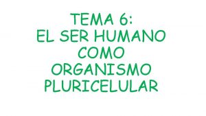 5 diferencias entre célula animal y vegetal