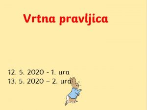 Vrtna pravljica 12 5 2020 1 ura 13