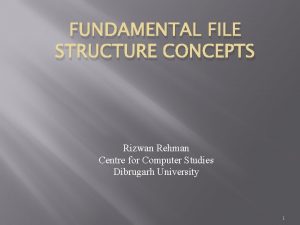 FUNDAMENTAL FILE STRUCTURE CONCEPTS Rizwan Rehman Centre for
