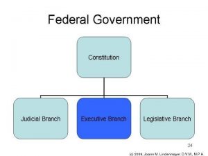 Branches of government video