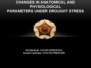 CHANGES IN ANATOMICAL AND PHYSIOLOGICAL PARAMETERS UNDER DROUGHT