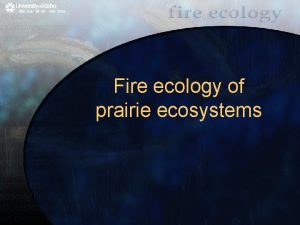 Fire ecology of prairie ecosystems Prairie ecosystems Ranged