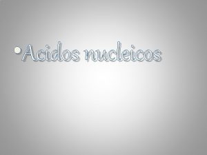 Acidos nucleicos cido nucleico Los cidos nucleicos son