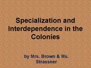 Southern colonies specialization