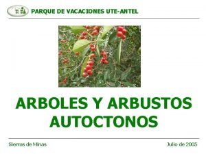 PARQUE DE VACACIONES UTEANTEL ARBOLES Y ARBUSTOS AUTOCTONOS