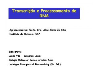 Transcrio e Processamento de RNA Agradecimentos Profa Dra