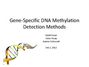 GeneSpecific DNA Methylation Detection Methods Daniel Goan Anna