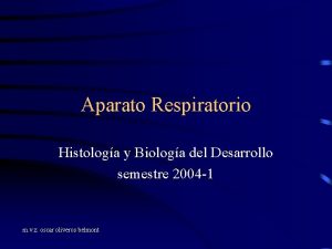 Aparato Respiratorio Histologa y Biologa del Desarrollo semestre