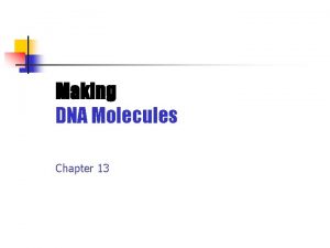 Making DNA Molecules Chapter 13 Learning Outcomes Describe