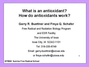 What is an antioxidant How do antioxidants work