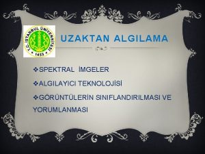 UZAKTAN ALGILAMA v SPEKTRAL MGELER v ALGILAYICI TEKNOLOJS