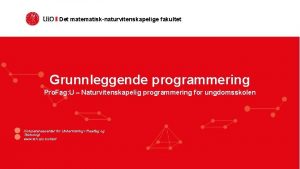 Det matematisknaturvitenskapelige fakultet Grunnleggende programmering Pro Fag U