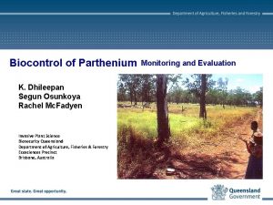 Biocontrol of Parthenium K Dhileepan Segun Osunkoya Rachel