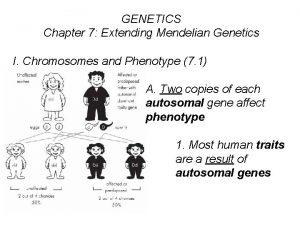 Karyotype Karyotype