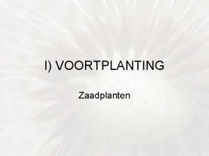 Broedblad plant