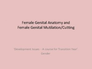 Female Genital Anatomy and Female Genital MutilationCutting Development