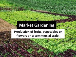 Market Gardening Production of fruits vegetables or flowers