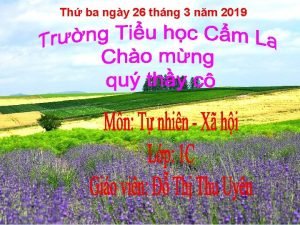 Th ba ngy 26 thng 3 nm 2019