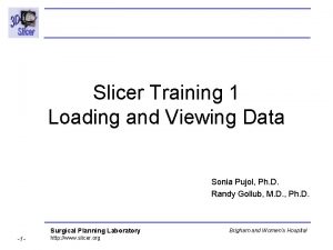 Slicer Training 1 Loading and Viewing Data Sonia