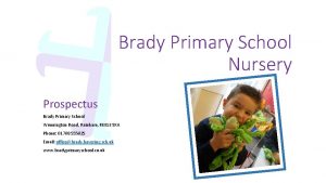 Brady primary school