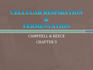 CAMPBELL REECE CHAPTER 9 metabolic pathways that released