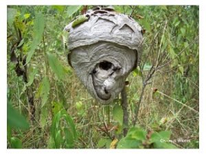 What is the name of this isotope? What is the name of this isotope?