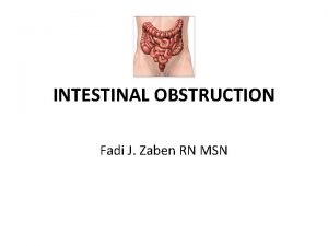 INTESTINAL OBSTRUCTION Fadi J Zaben RN MSN Overview