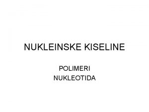 Primarna struktura nukleinskih kiselina