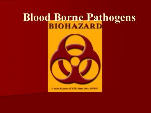 Blood Borne Pathogens Blood Borne Pathogens What Workplace