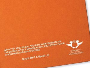 Social protection instruments