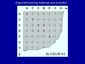 Alignment scoring matrices and evolution ORF Graphs types