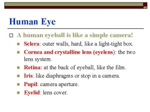 Human Eye o A human eyeball is like