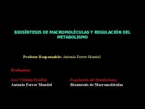 BIOSNTESIS DE MACROMOLCULAS Y REGULACIN DEL METABOLISMO Profesor