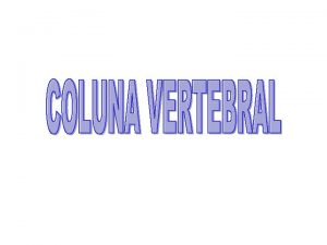 Coluna Vertebral Vrtebras FUNO Proteo medula espinhal Sustenta