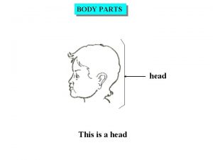 Head body parts