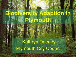 Biodiversity Adaption in Plymouth Kathryn Deeney Plymouth City