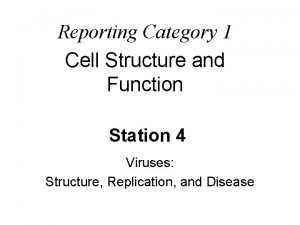 Category 1 cell structure and function
