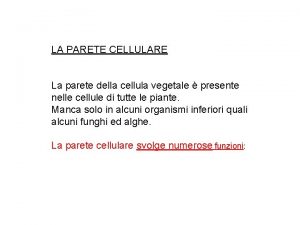 Parete primaria cellula vegetale