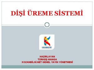 Dişinin menstrual döngüsü