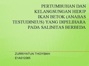 PERTUMBUHAN DAN KELANGSUNGAN HIDUP IKAN BETOK ANABAS TESTUDINEUS