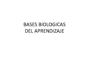 Neuronas Neuronas