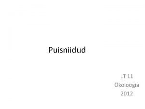 Puisniidud LT 11 koloogia 2012 MIS ON PUISNIIT