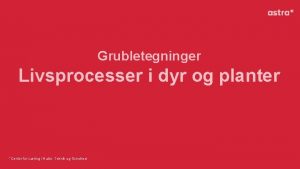 Grubletegninger Livsprocesser i dyr og planter Center for