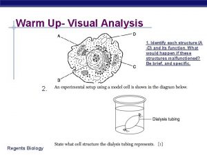 Identify the structure