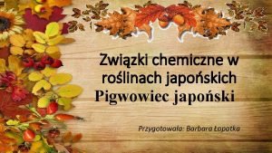 Zwizki chemiczne w rolinach japoskich Pigwowiec japoski Przygotowaa