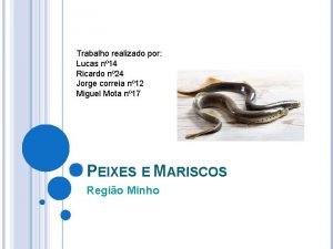 Peixe chapouto