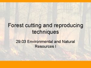 Forest cutting and reproducing techniques 29 03 Environmental